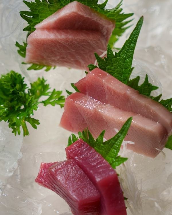 Sashimis de atum em três cortes sobre gelo